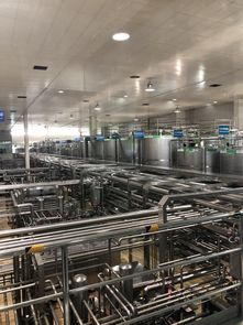 蒙牛工廠迎全球GDP代表參觀，以企業智慧夯實合作共贏之基